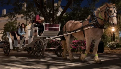 Nighttime Private Carriage Tour